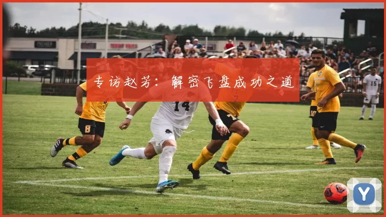 专访赵芳：解密飞盘成功之道