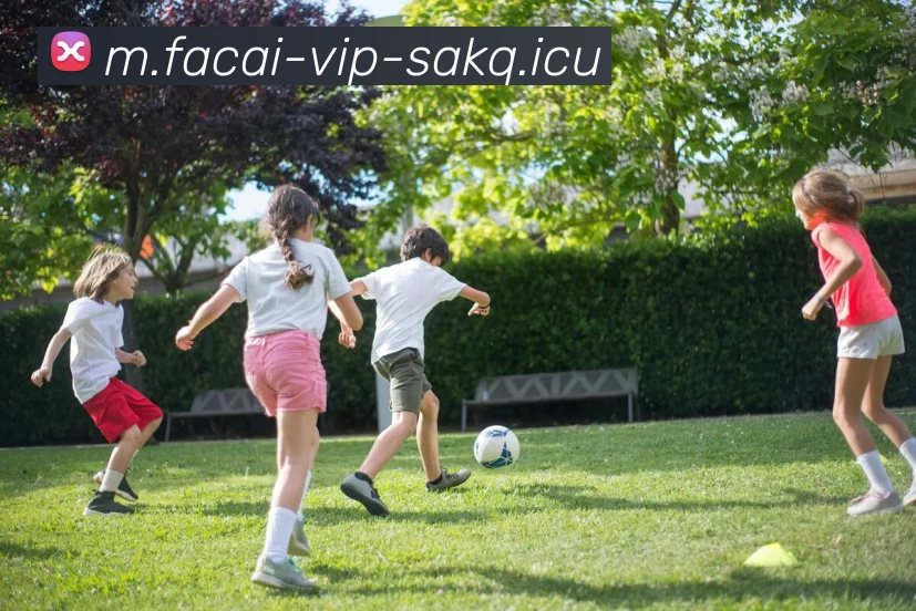 MK体育发展历程